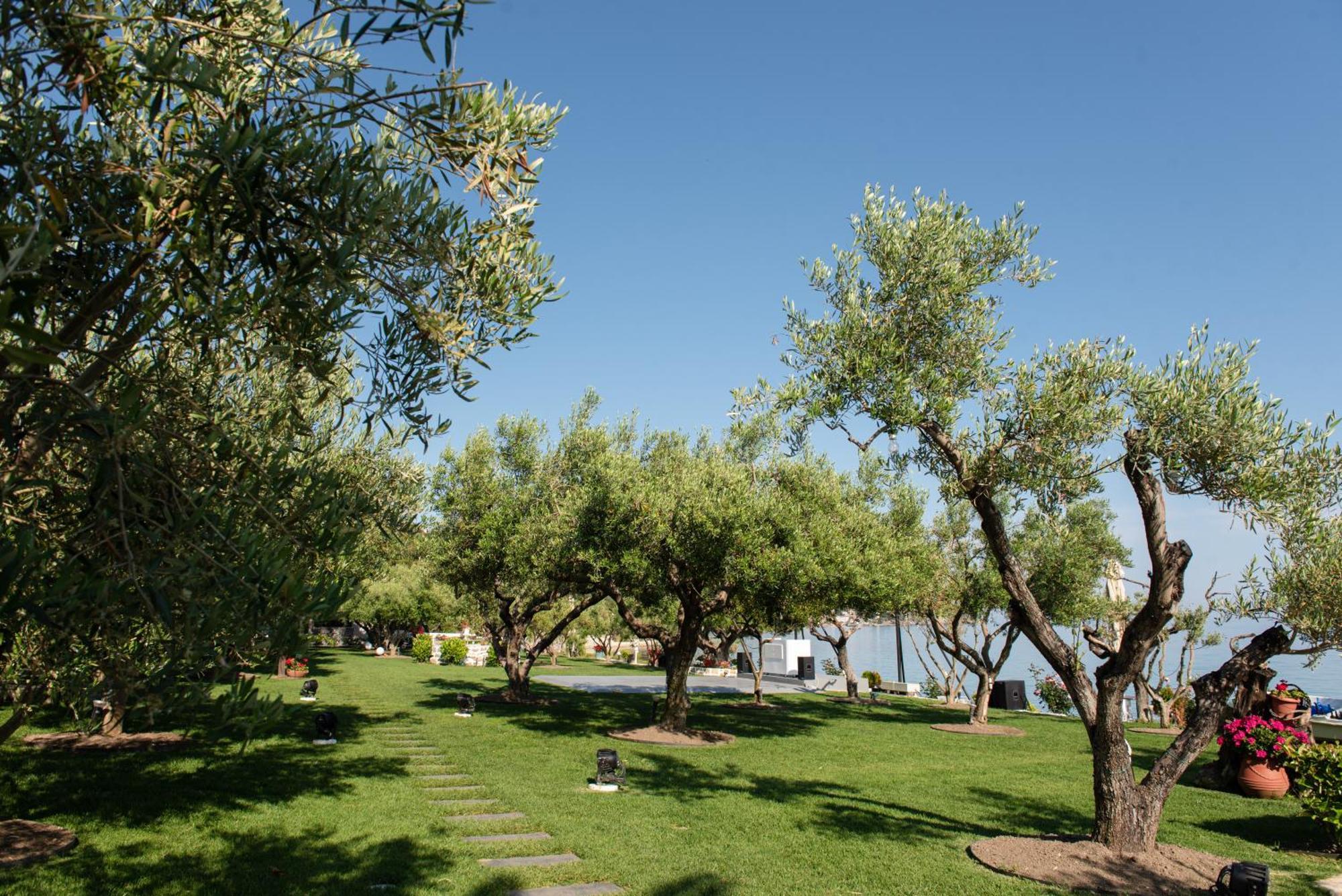 Ktima Delmare Pantazara Villa Nea Skioni Exterior foto